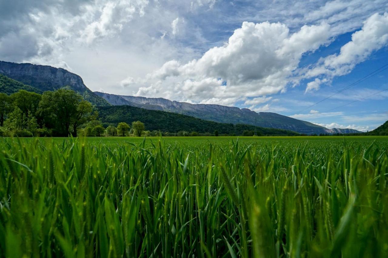 Les Aravis - Apartment For 6 People 5Min From The Lake Giez ภายนอก รูปภาพ